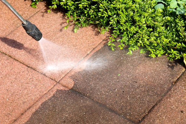 Best Affordable Pressure Washing  in Leadwood, MO